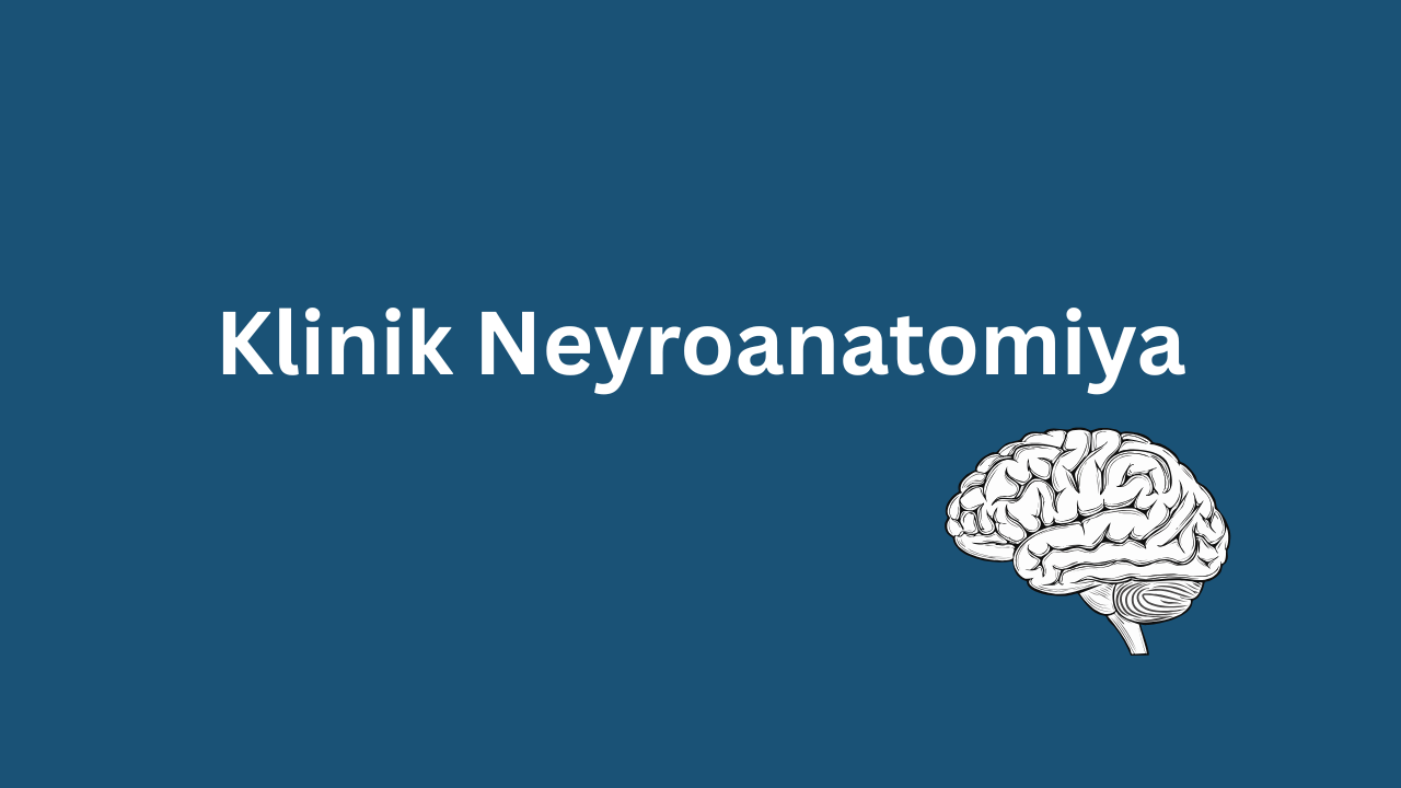 Klinik neyroanatomiya